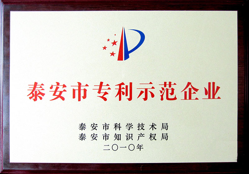 Tai'an Patent Demonstration Enterprise