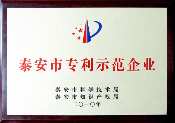 Tai'an Patent Demonstration Enterprise